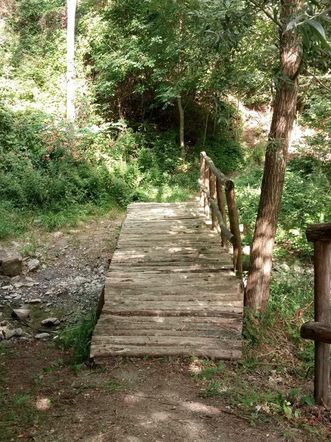 Busana Agriturismo Rio Ricco מראה חיצוני תמונה