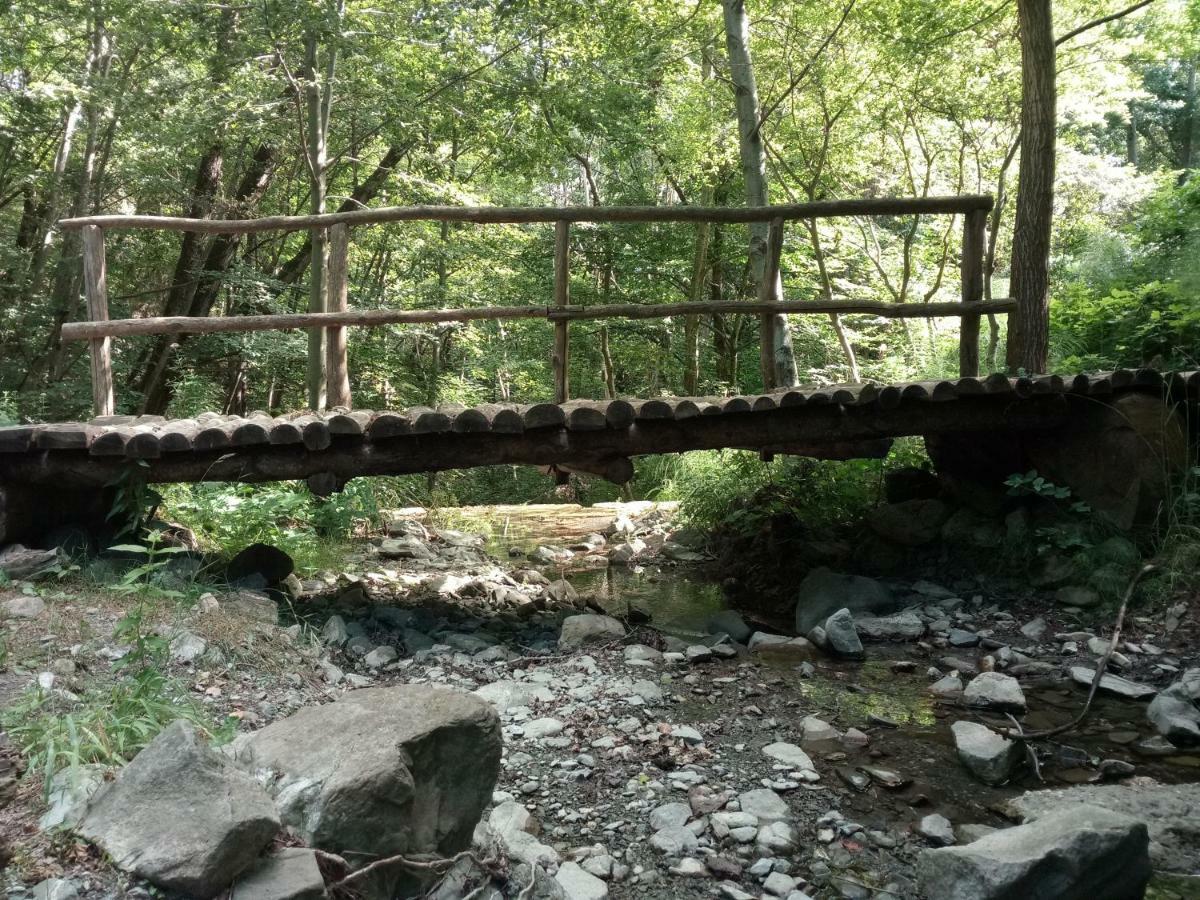 Busana Agriturismo Rio Ricco מראה חיצוני תמונה
